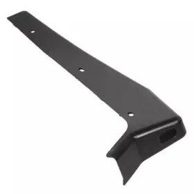6l9z-7829038-aaptm Ford Genuine Molding #3