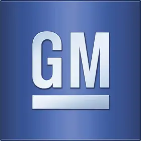 25910540 Gm Genuine Stone Guard