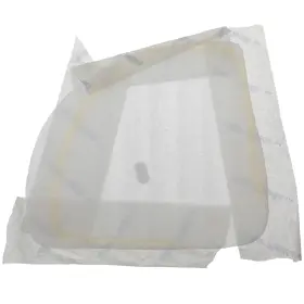 68191100 Maserati Genuine 2005-13 Quattroporte Fr Right Door Upper Water Shield