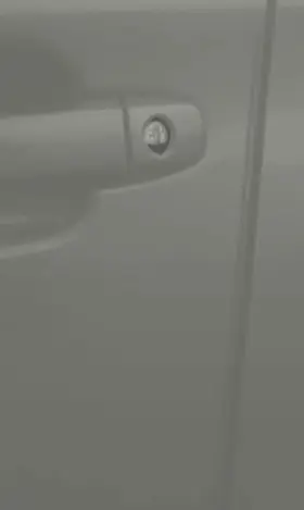 Soa801p060m6 Subaru Genuine Door Edge Guards - Autumn Green Metallic