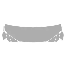 Vpp22413 Vicrez Paint Ppf Pre-cut Hood/fender/mirrors Kit Protection