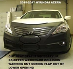 Lebra Front End Mask Cover Fits Hyundai Azera 2015-2017. Fixed Price $148.99.