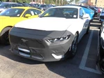 Lebra Front Mask Cover Fits 2024-2026 Mustang Ecoboost Fastback, W/o License. Fixed Price $148.99.