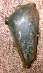 1939 1940 Ford Wire Harness Junction Cover Original Firewall Hot Rod V/8. Fixed Price $49.00.