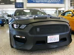 Colgan Front End Mask Bra 2PC.FITS Ford Mustang GT350 2015-2020 W/license. Fixed Price $316.99.