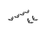 Aries 2055113 For 07-21 Sprinter/freightliner Versatrac Mounting Brackets. Fixed Price $100.79.