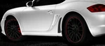 Porsche 987 Cayman Matte Black Stone Guard Classic. Fixed Price $24.00.