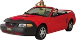 Covercraft 45306-01 Lebra Custom. Fixed Price $59.99.
