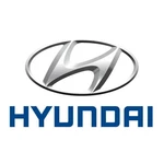 Genuine Hyundai Stone Guard 87539-S8000. Fixed Price $72.16.