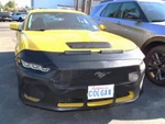 Colgan Front End Mask Bra 2PC.FITS Ford Mustang Gt 2024-2025 With License Plate. Fixed Price $316.99.