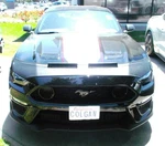 Colgan Sport Hood Bra Cf Mask Fits 2018-2023 Ford Mustang Gt, Ecoboost &mach. Fixed Price $176.99.
