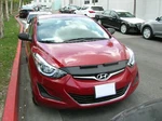 Colgan Sport Hood Bra Pc.mask Fits Hyundai Elantra Se, Limited 14-16. Fixed Price $166.98.
