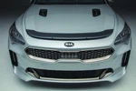 New Oem Genuine Kia Stinger Clear Hood Protector Applique: J5F24-AU101. Fixed Price $66.00.