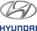 Genuine Hyundai Stone Guard 87539-S8000. Fixed Price $45.36.