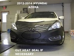 Lebra Front End Mask Cover Fits 2012 2013 2014 Hyundai Azera. Fixed Price $148.99.