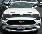 Colgan Sport Hood Bra Mask Fits 2018-2022 Ford Mustang Gt Coupe & Ecoboost. Fixed Price $166.98.