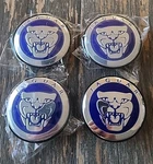 Jaguar Wheel Center Caps Blue 59MM S-type X-type Xf XJ8 Xel Xk. Fixed Price $19.99.